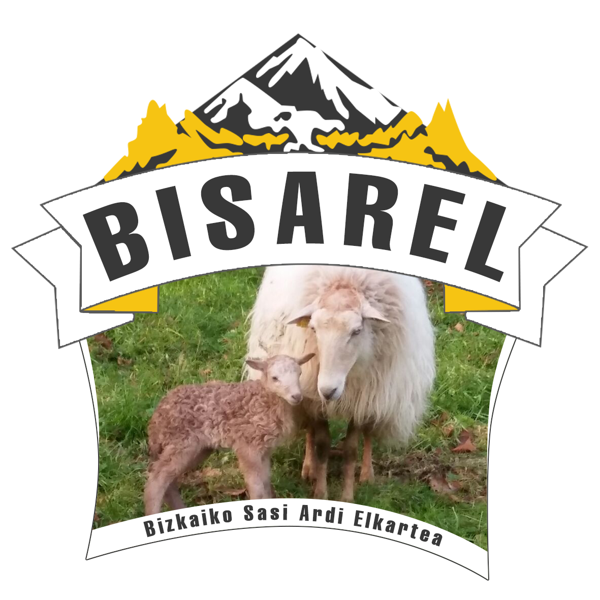 Bizkaiko Sasi Ardi Elkartea
