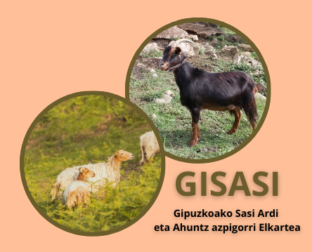 Gipuzkoako Sasi Ardi Elkartea