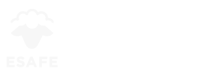 Sasi Ardi