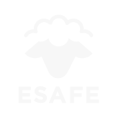 Sasi Ardi
